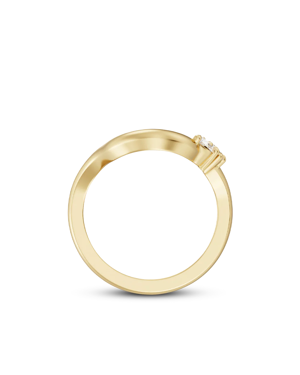 Elaria - Image 7
