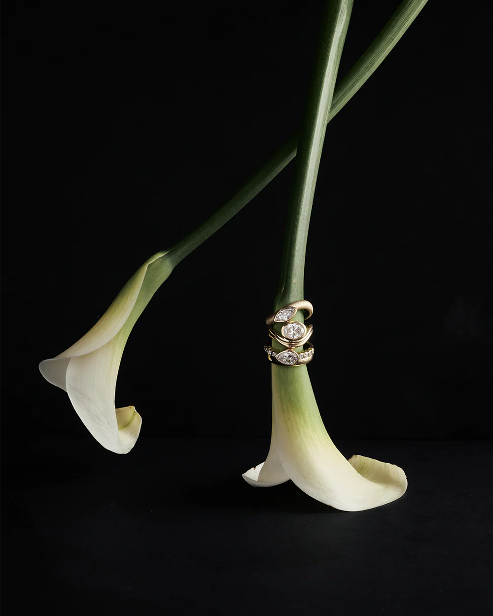 Margot - Image 4