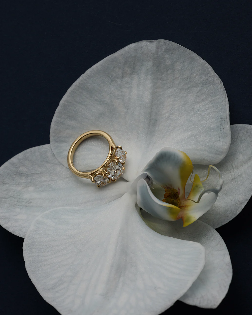Stella 1ct Oval Diamond Trilogy Ring - Image 2